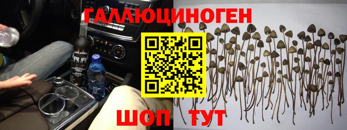 Волжский  Псилоцибиновые грибы GOLDEN TEACHER  Вход с VPN 