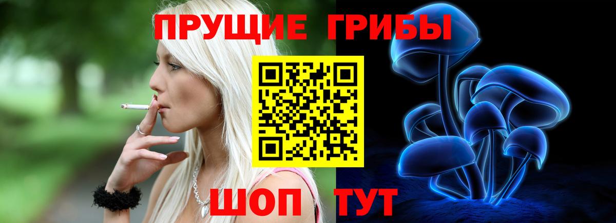 Псилоцибиновые грибы прущие грибы Волжский